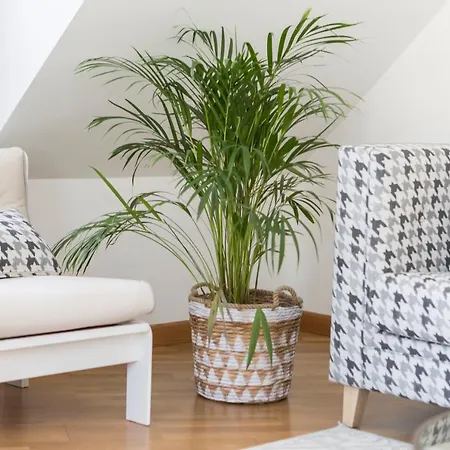 Boutique Con Terraza Y Vistas Al Mar. Porto Vilanova *